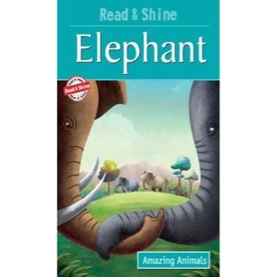 Elephant - Amazing Animals