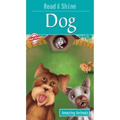 Dog - Amazing Animals