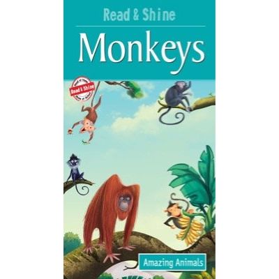 Monkeys - Amazing Animals